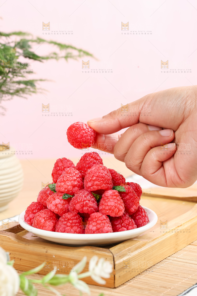 红树莓