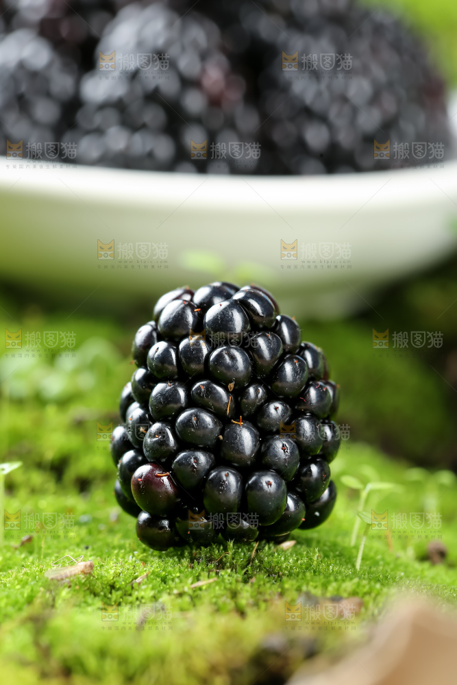 黑莓