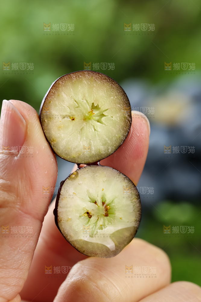 蓝莓