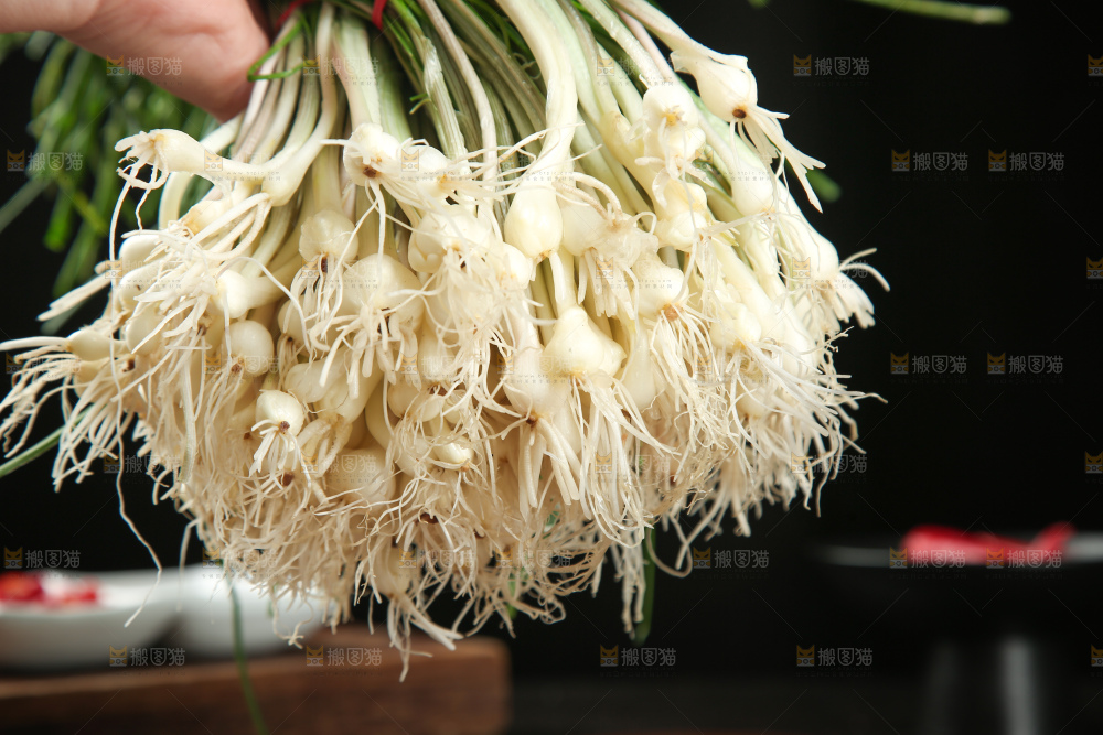 野葱