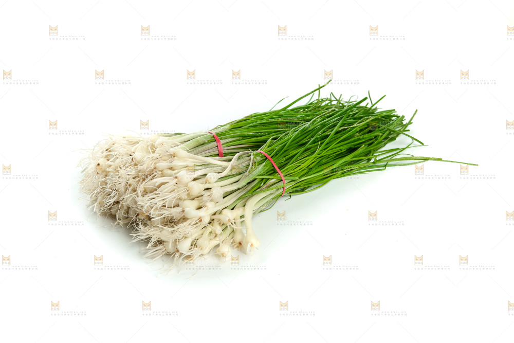 野葱