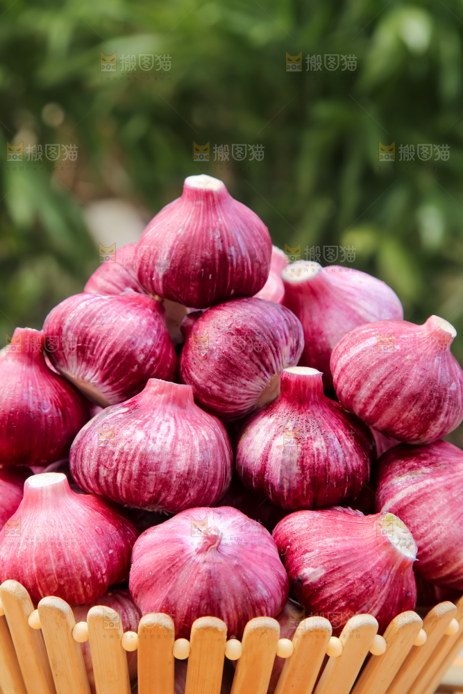紫皮大蒜