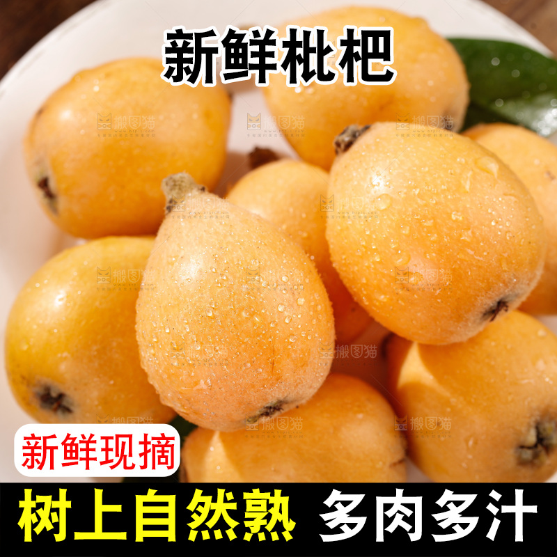 米易枇杷