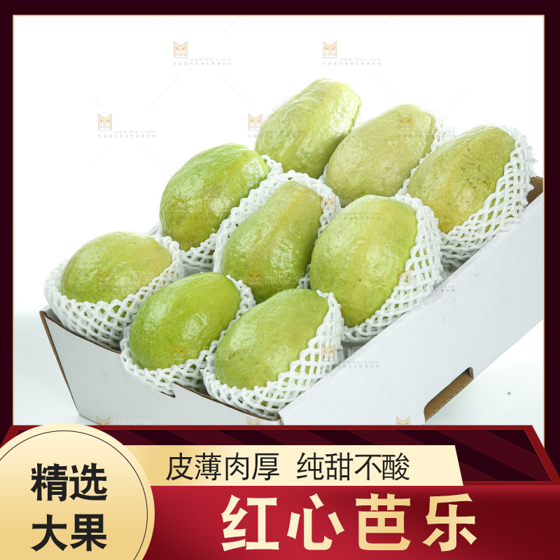 礼盒里装着红心芭乐