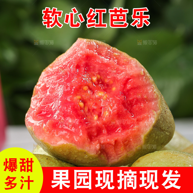 红心芭乐