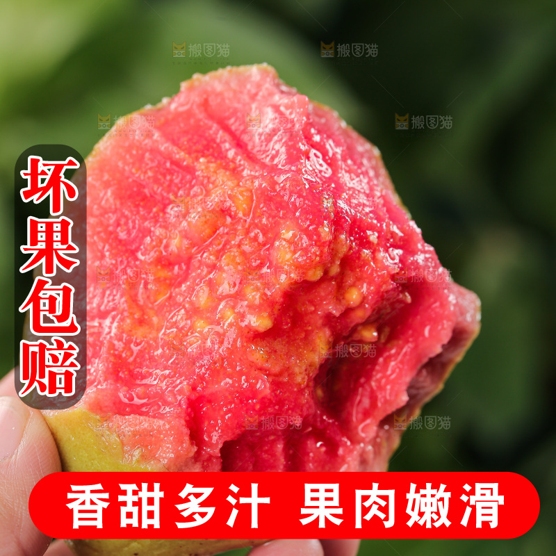 红心芭乐