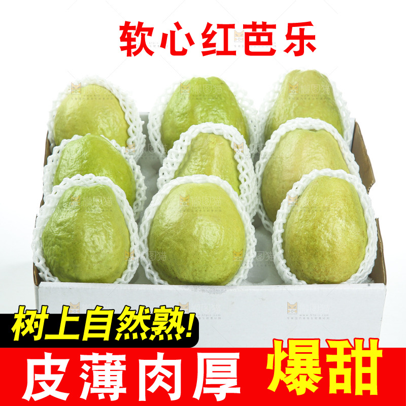 礼盒里装着红心芭乐