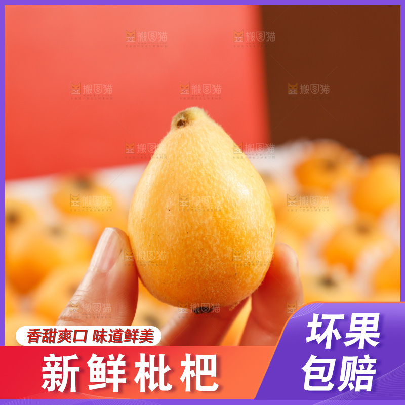 礼盒装的枇杷