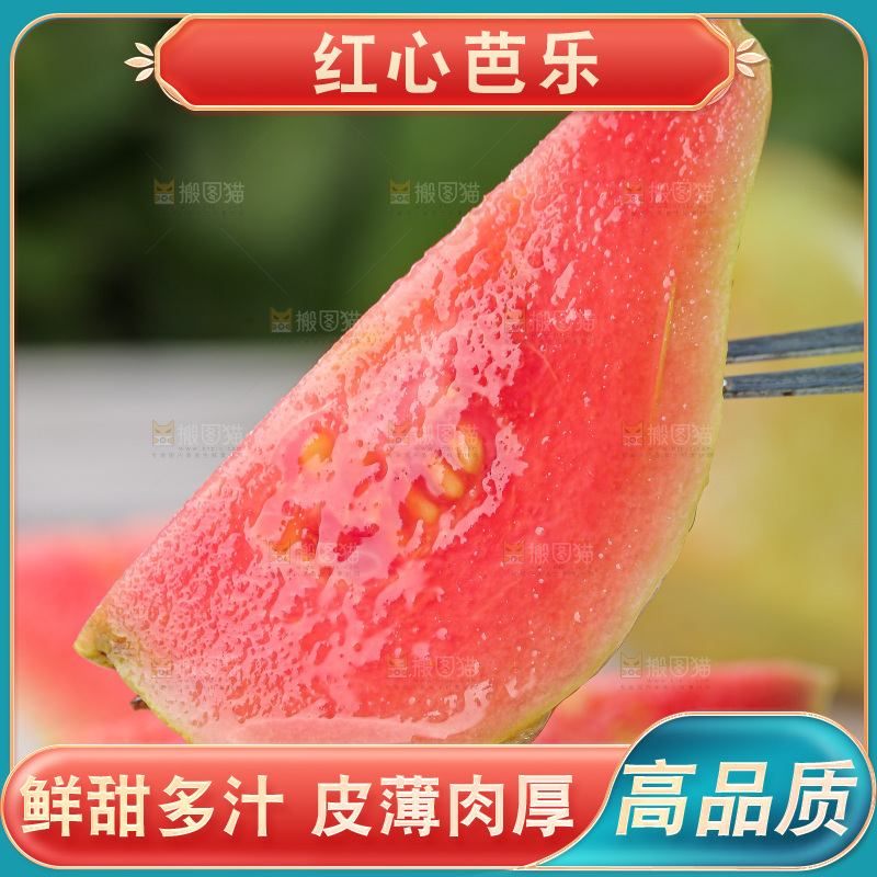 软心红芭乐