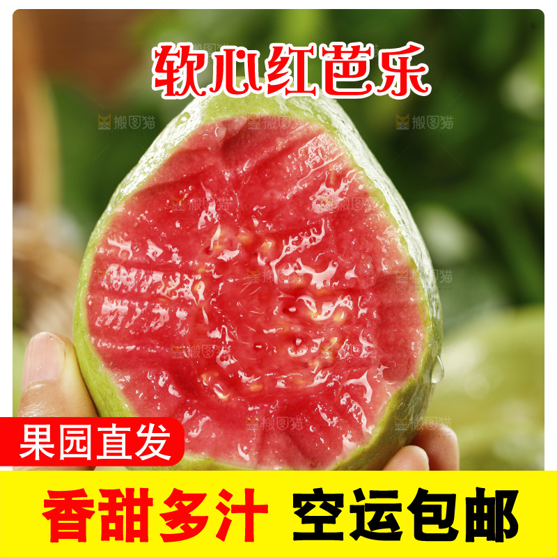 手里拿着红心芭乐