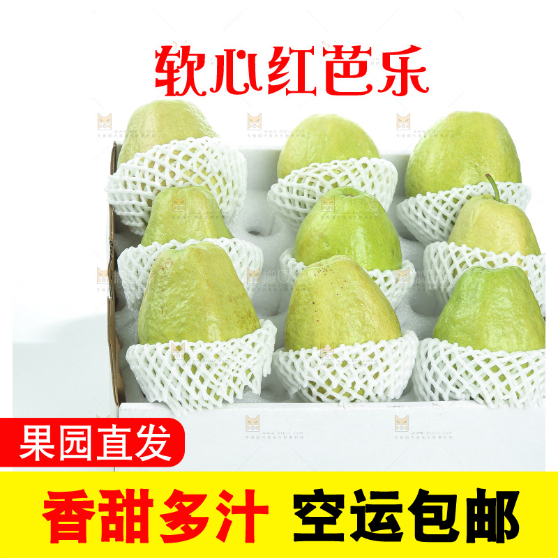 礼盒里装着红心芭乐