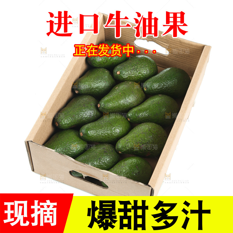 白底上的牛油果