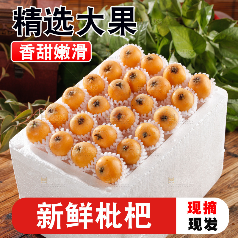 米易枇杷