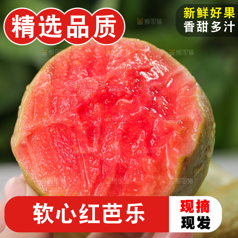 红心芭乐