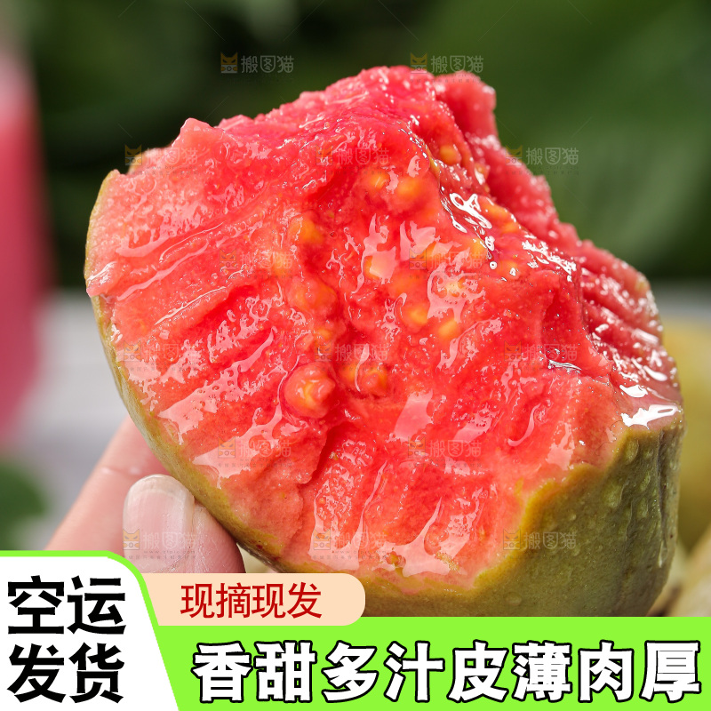 红心芭乐