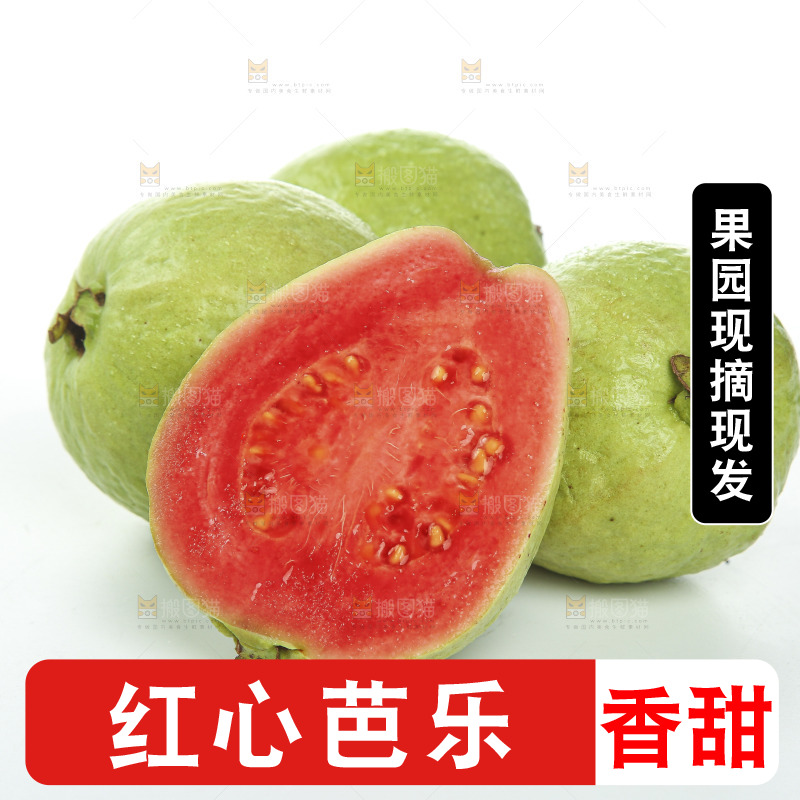 白底上的红心芭乐