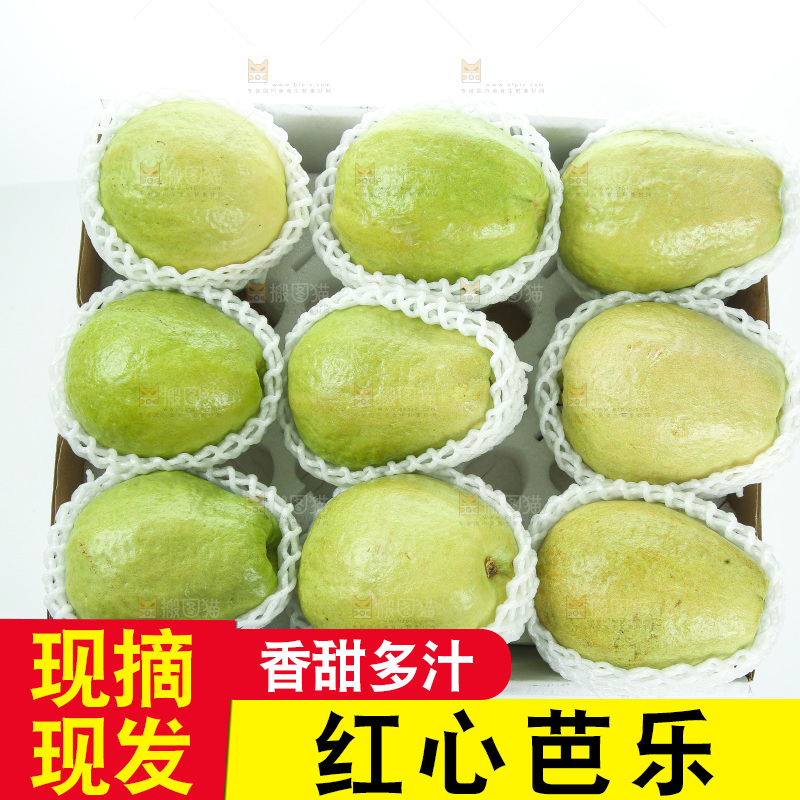 礼盒里装着红心芭乐