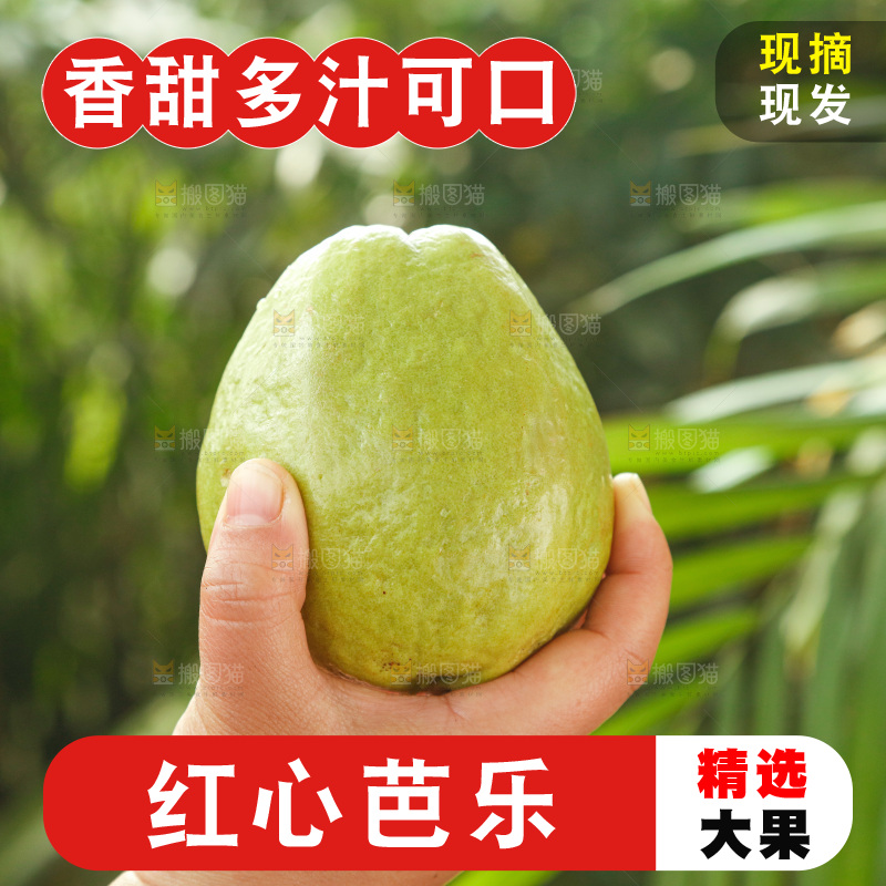 手里拿着红心芭乐