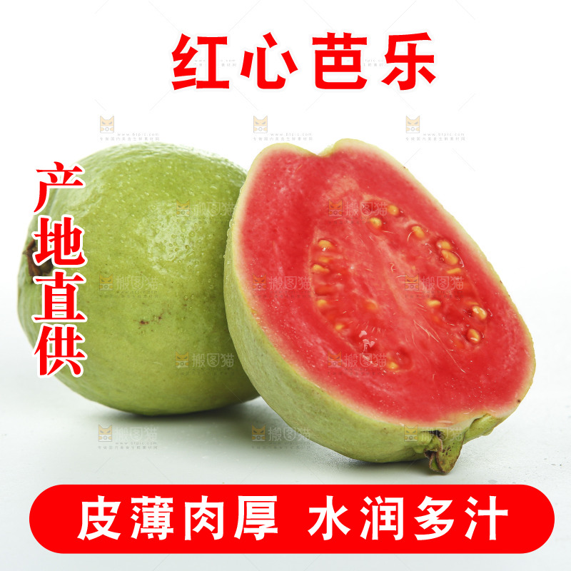白底上的红心芭乐