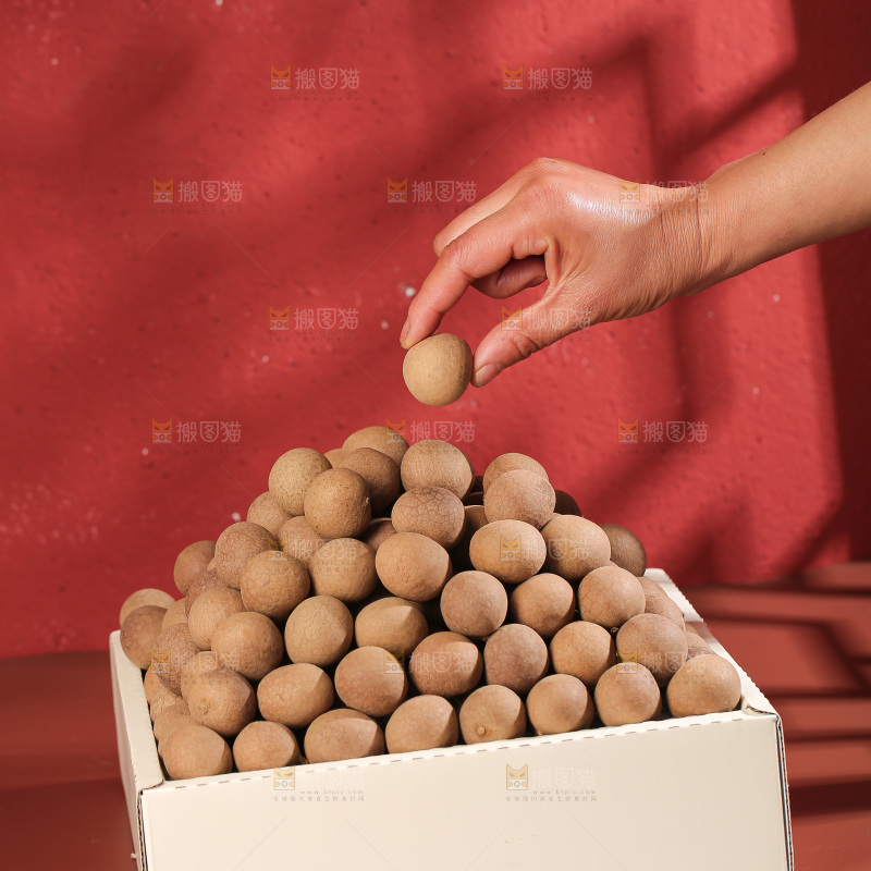 桂圆干