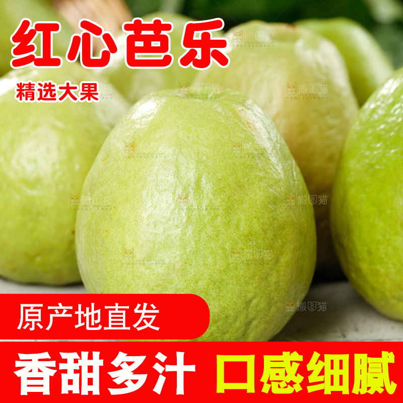 木底上的红心芭乐