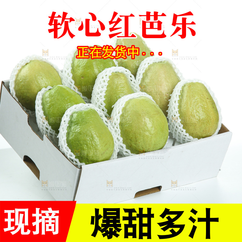 礼盒里装着红心芭乐