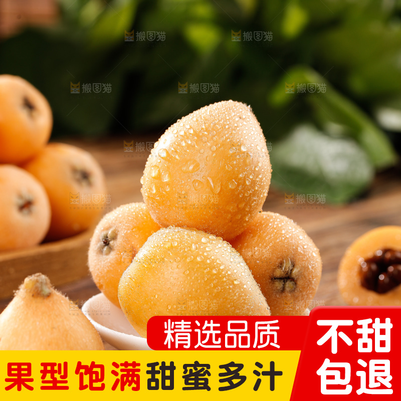 米易枇杷