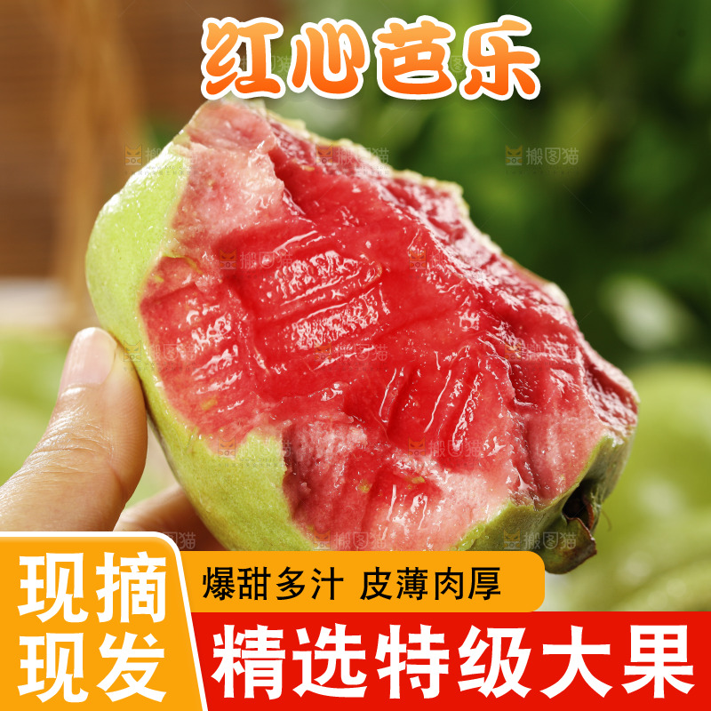 木底上的红心芭乐