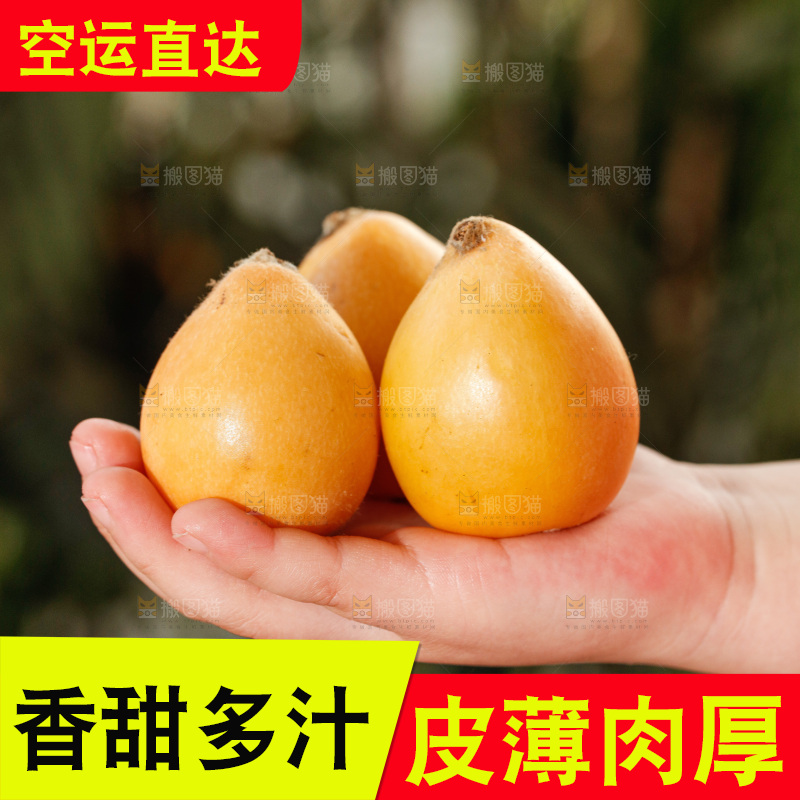 米易枇杷