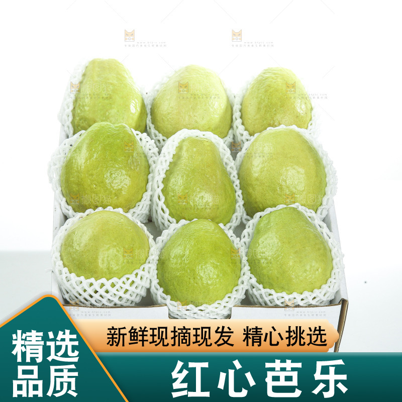 礼盒里装着红心芭乐