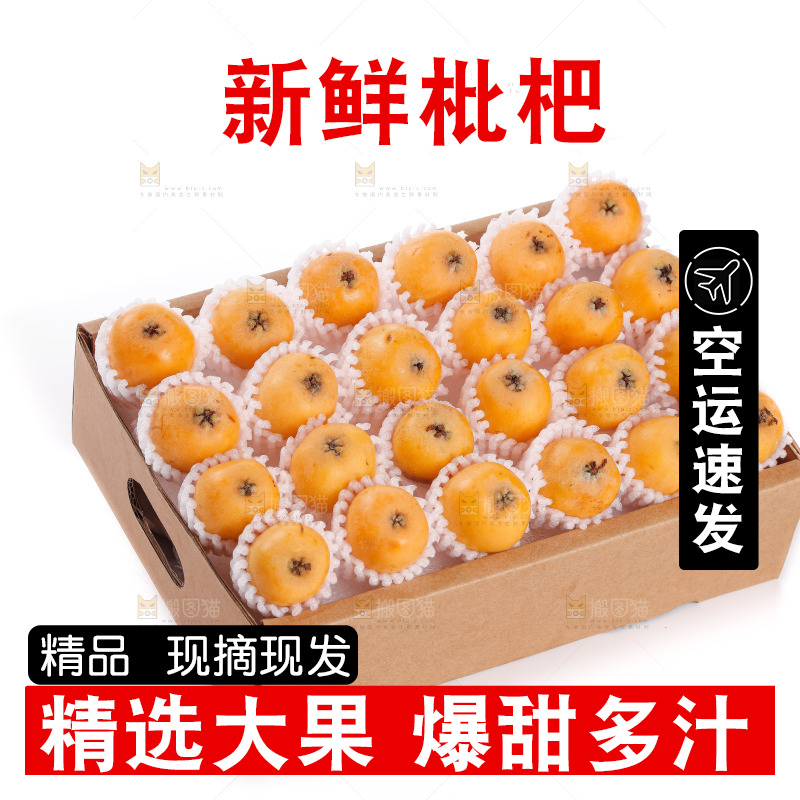 米易枇杷