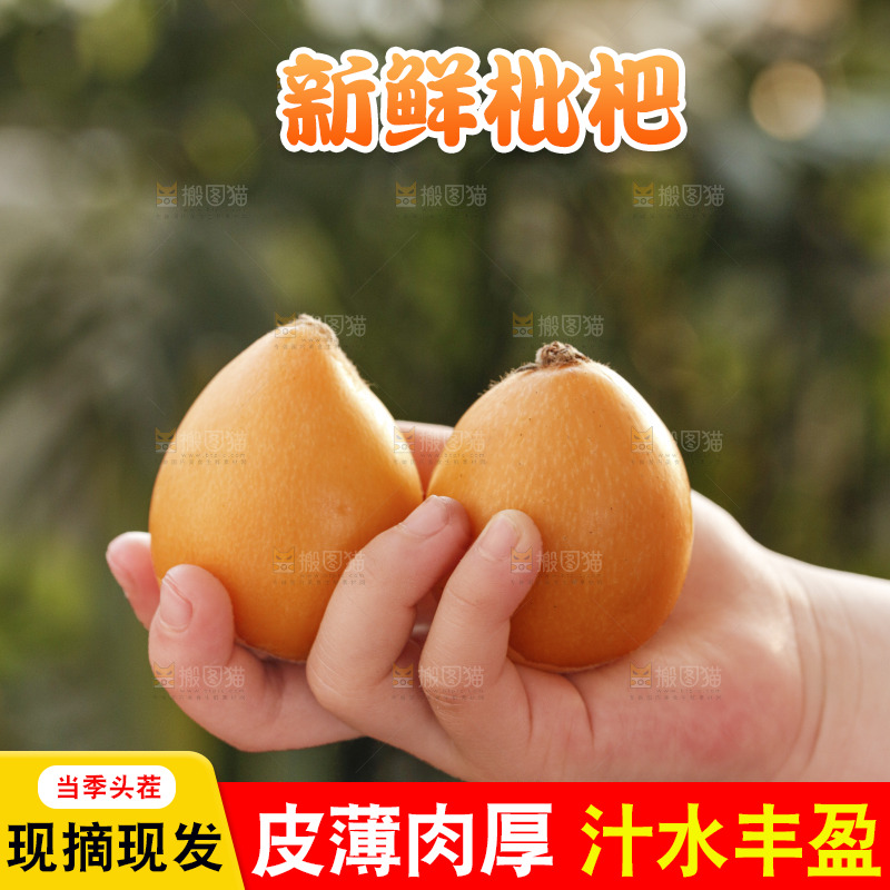 米易枇杷
