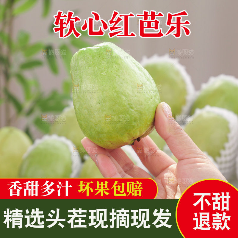 红心芭乐
