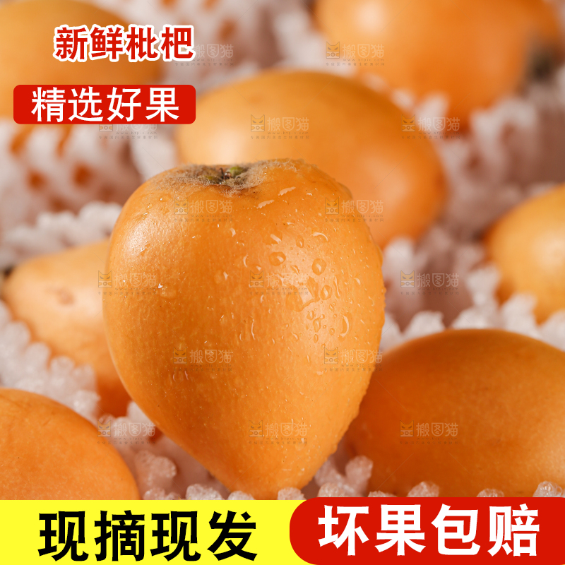 蒙自枇杷