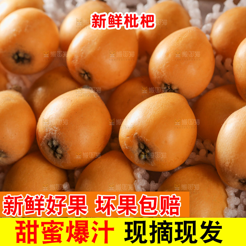 蒙自枇杷