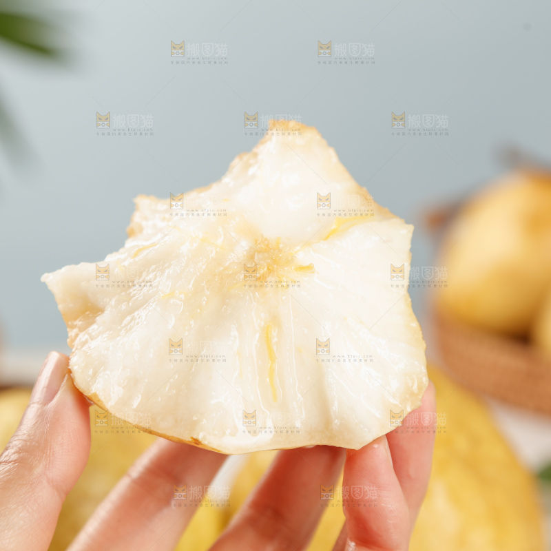 浅底上的丑梨