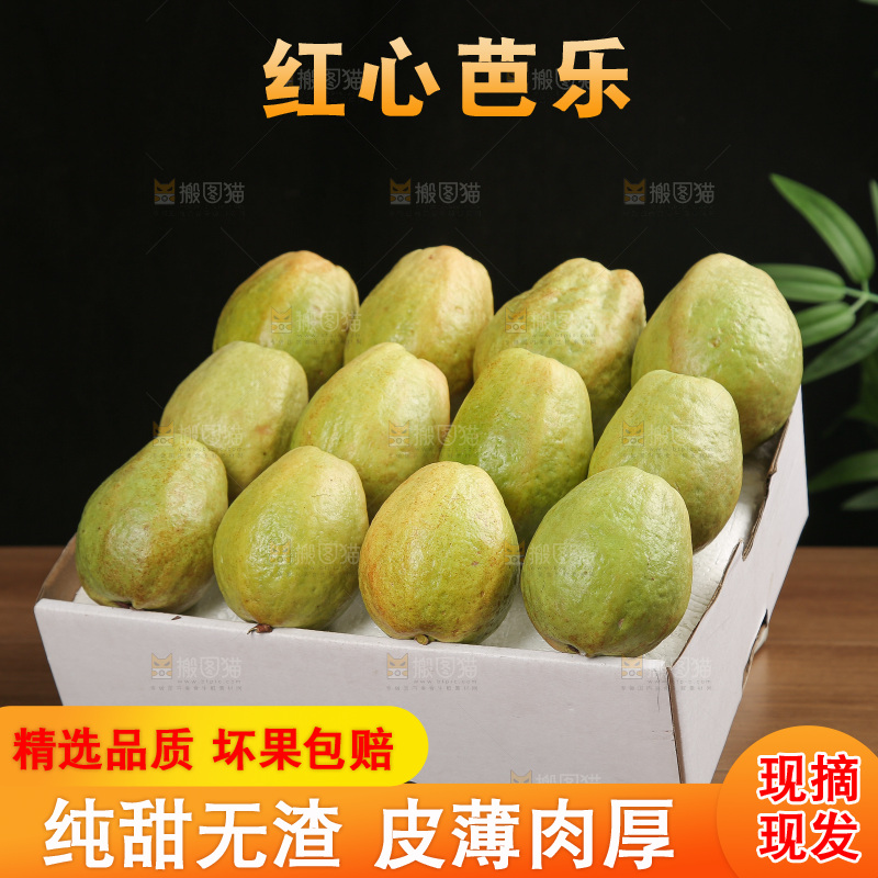 红心芭乐