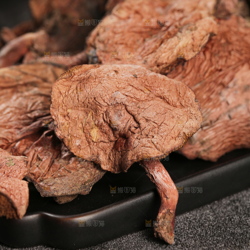 牛肝菌