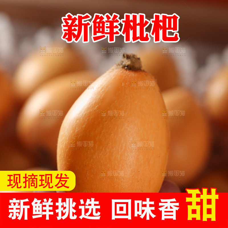 蒙自枇杷
