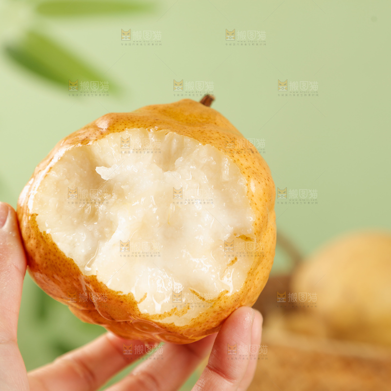 浅底上的丑梨