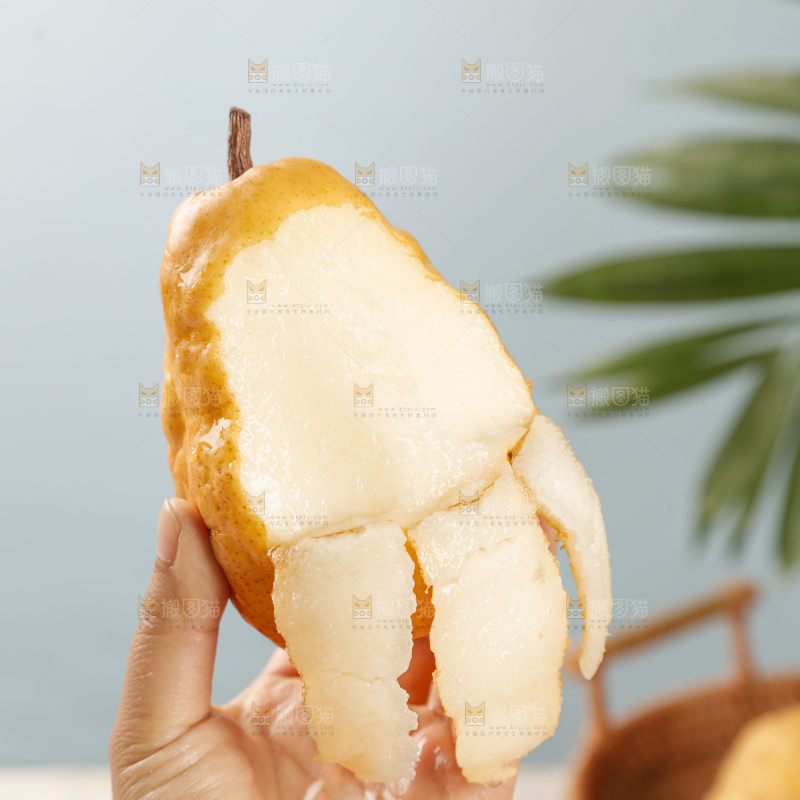 手里拿的丑梨