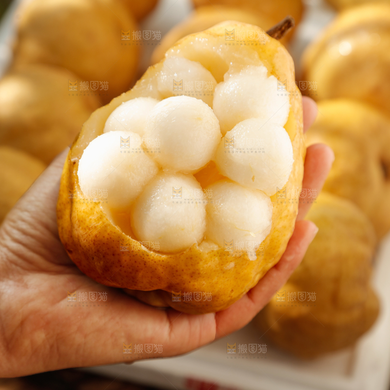 手里拿的丑梨