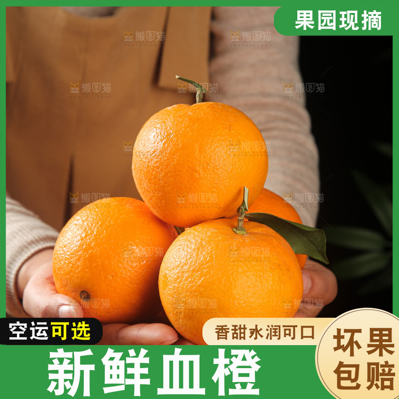 血橙
