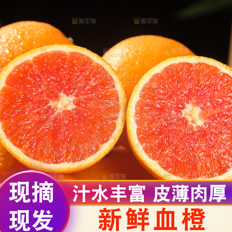 血橙