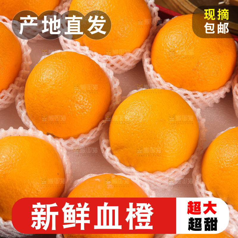 血橙