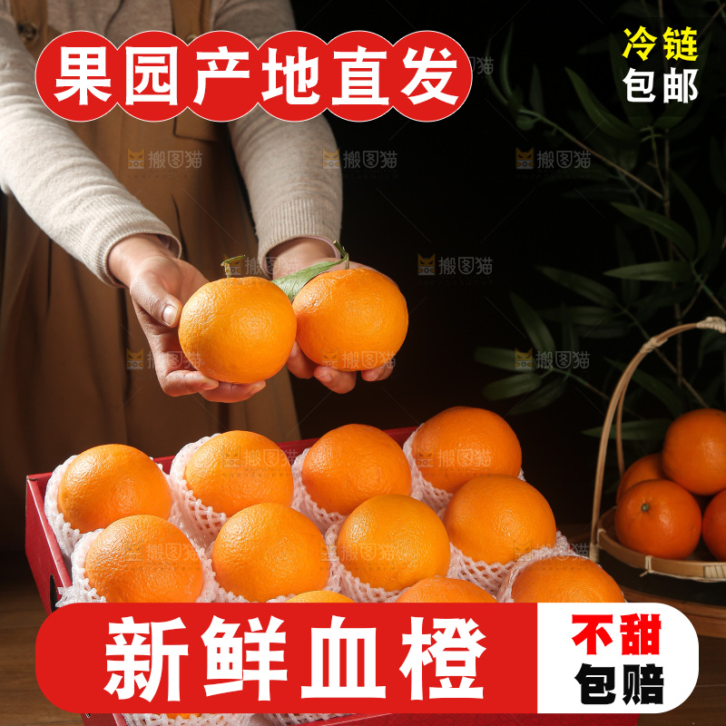 血橙