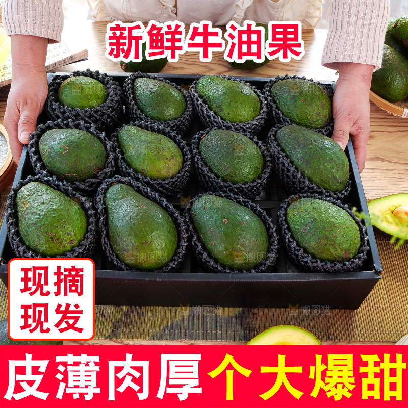 牛油果