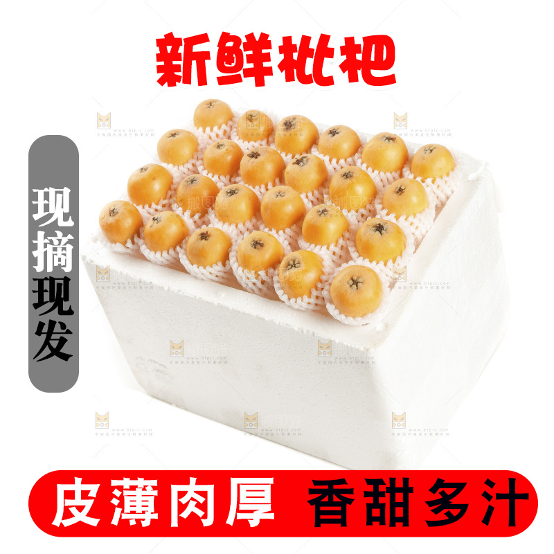枇杷