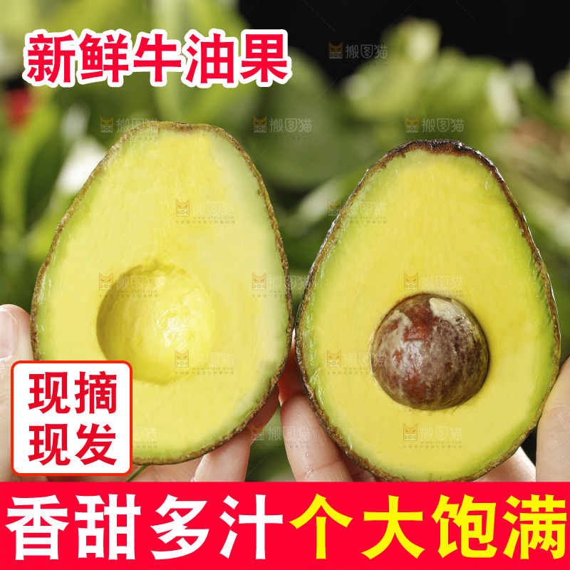 牛油果