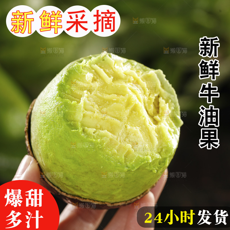 牛油果